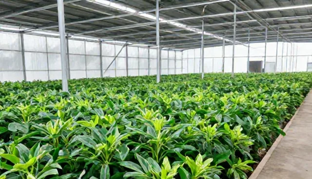 食品代加工中温度控制的适用情况与限制分析